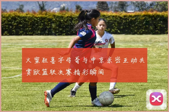 火蜜狂喜字母哥与申京亲密互动共赏欧篮联决赛精彩瞬间