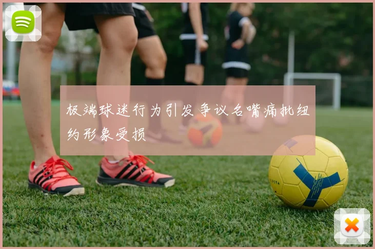 极端球迷行为引发争议名嘴痛批纽约形象受损